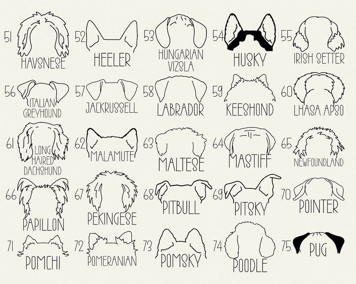 Personalized Dog Ears Tee & Sweatshirt